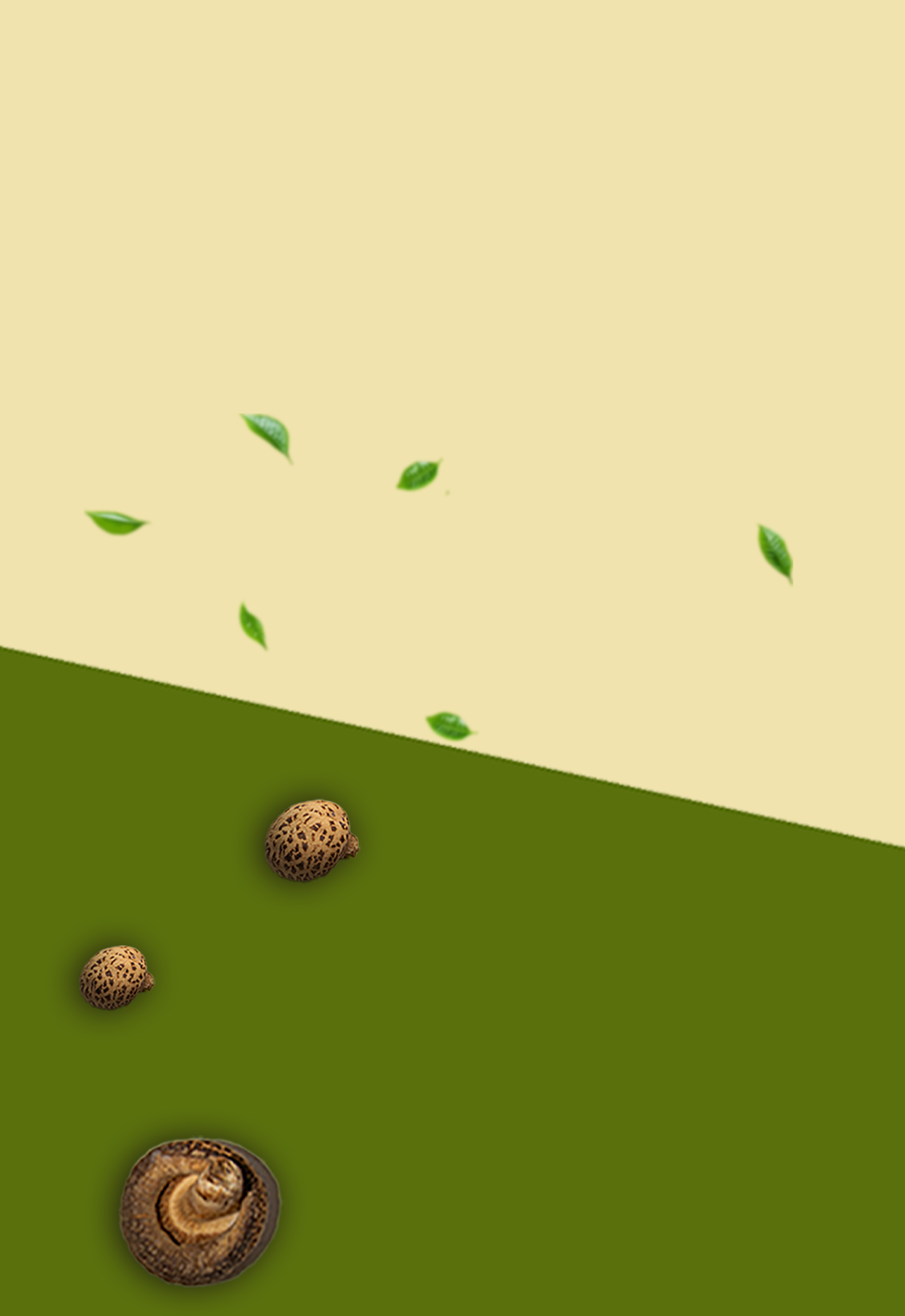 banner aromama mobile